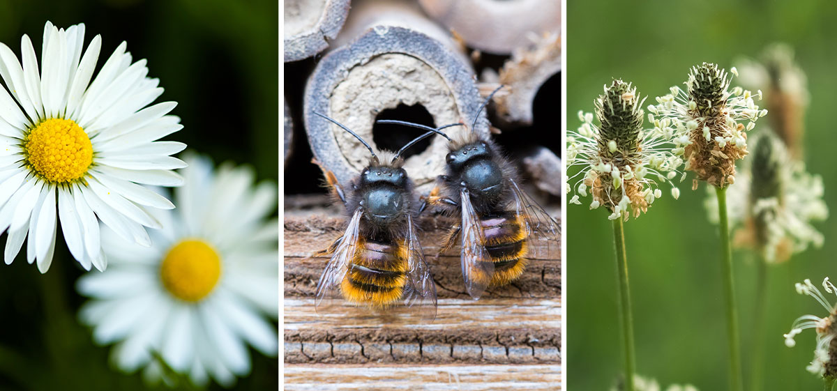 Schneckenhaus Grevenbroich