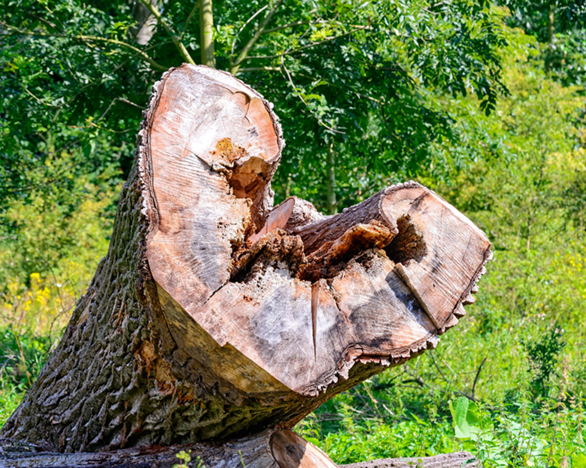 Schneckenhaus Grevenbroich