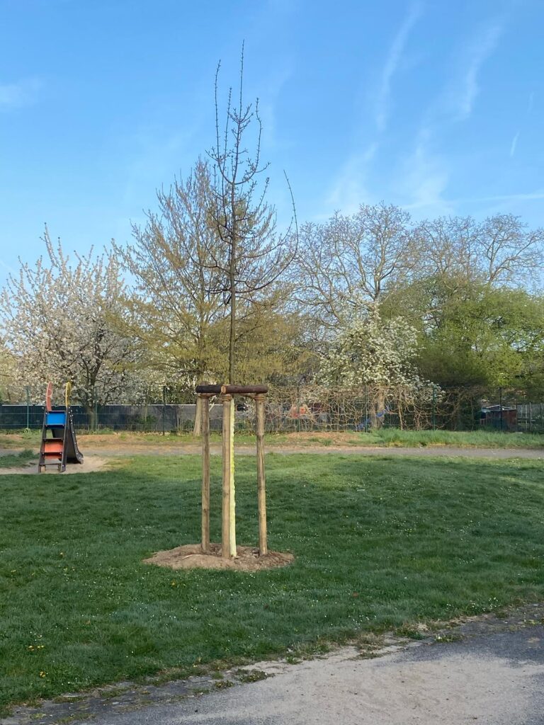 Vorschläge zu Baumpflanzungen